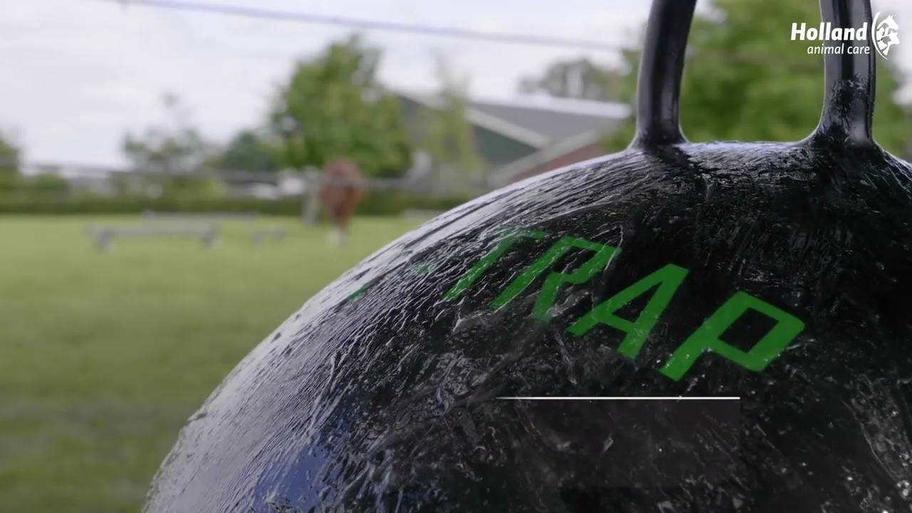 Minge neagră pentru agățat, 60 cm – Sticky Trap Bal - imagine 2