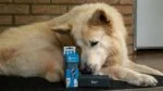 Perie pentru îndepărtarea părului de pe canapele și covoare, 4 x 12 x 4 cm – Proper Pets - imagine 2
