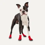 Pantofi pentru câini cu talpă antiderapantă, impermeabili, mărimea XXS, roșu și negru, 2 bucăți – Goo-eez Ultras - imagine 3