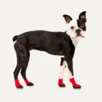 Pantofi impermeabili pentru câini, cu talpă din cauciuc, 4 bucăți, XXL, roșu și negru – Goo-eez Lites - imagine 3