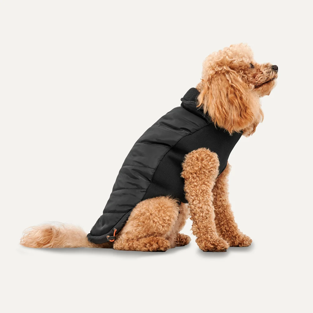 Haină pentru câini cu căptușeală din pluș, hidrofugă, L, lungimea spatelui 52 cm, neagră – Goo-eez Mock Neck Signature Wrap Jacket - imagine 1