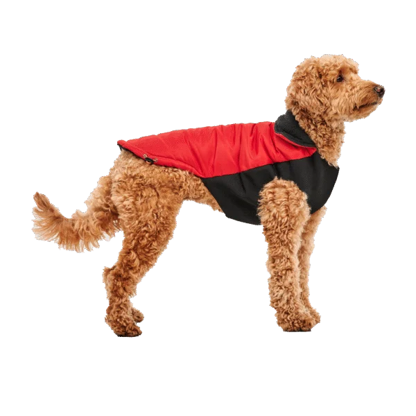 Jachetă pentru câini cu căptușeală plușată, hidrofugă, S, lungime spate 40 cm, roșu și negru – Goo-eez Mock Neck Signature Wrap Jacket