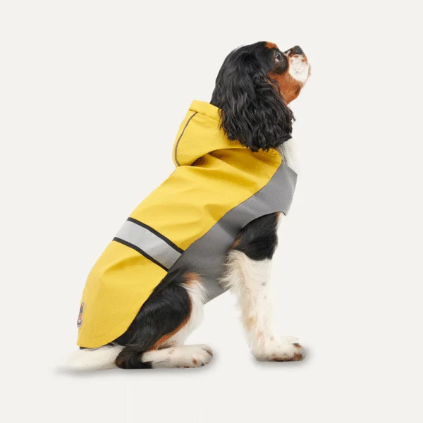 Haină de ploaie pentru câini cu glugă și bandă reflectorizantă, XS, lungimea spatelui 29 cm, galben și gri – Goo-eez Reflective Hooded Raincoat