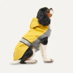 Haină de ploaie pentru câini cu glugă și margine reflectorizantă, mărimea M, galben și gri – Goo-eez Reflective Hooded Raincoat