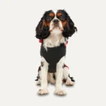 Hanorac din fleece pentru câini, cu căptușeală plușată, mărimea M, roșu și negru – Goo-eez Kangaroo Fleece Hoodie - imagine 2
