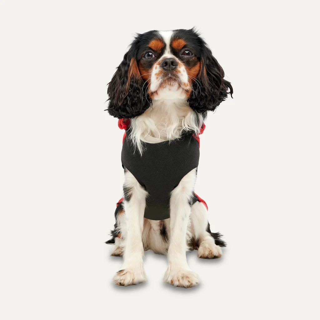Hanorac din fleece pentru câini, cu căptușeală plușată, mărimea M, roșu și negru – Goo-eez Kangaroo Fleece Hoodie - imagine 2