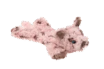 Jucărie de pluș pentru câini, cu 5 chițăitoare și hârtie foșnitoare – Growl Cuddlerz Snorters porcușorul - imagine 3