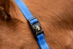 Căpăstru din nailon cu bandă nazală reglabilă, albastru XS – Excellent Essential - imagine 2