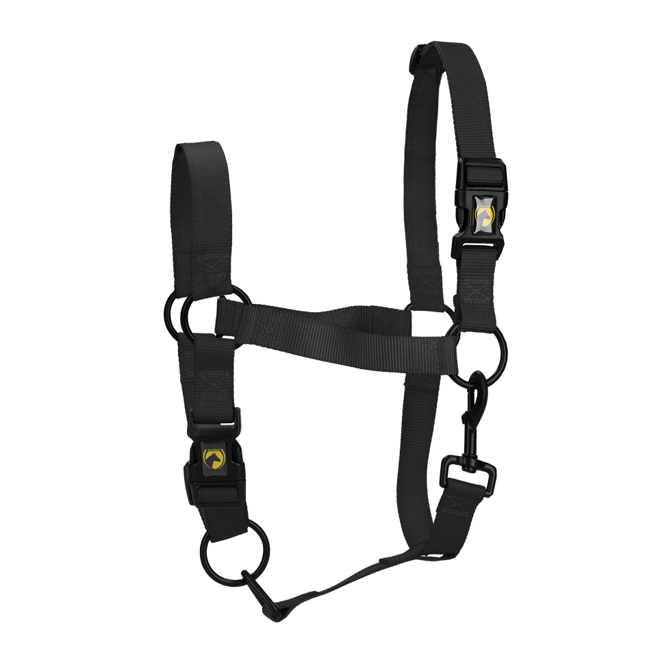 Halster van Nylon met Verstelbare Neusriem en Kopstuk, Zwart M – Excellent Essential Căpăstru din nylon cu curea pentru nas și parte pentru cap reglabile, Negru M – Excellent Essential