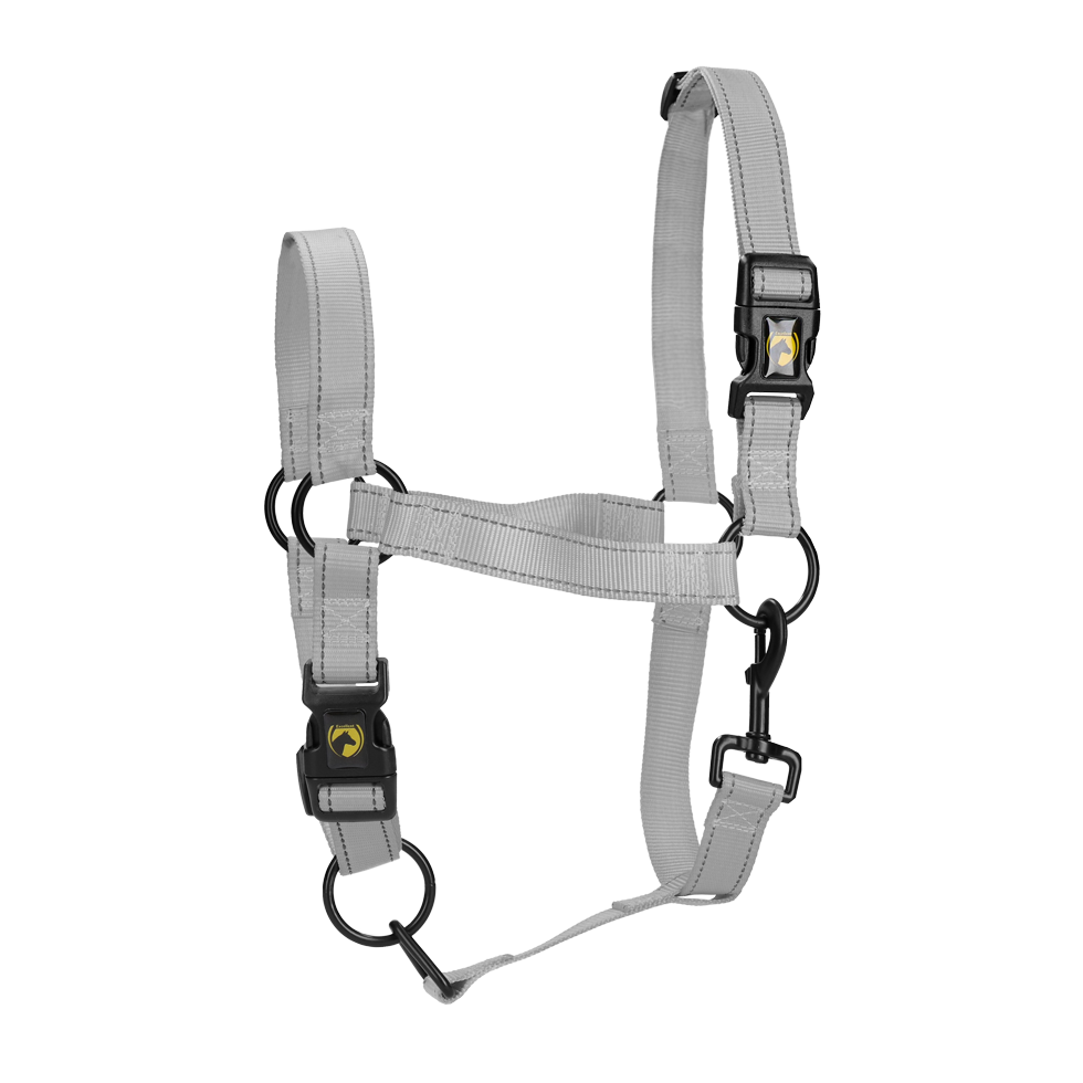 Halster van Nylon met Reflecterende Details Grijs XS – Excellent Premium Căpăstru din nailon cu detalii reflectorizante, gri, XS – Excellent Premium