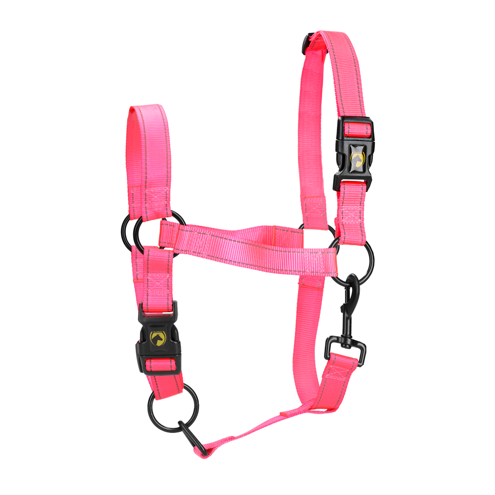 Halster van Nylon met Reflecterende Details, Roze S – Excellent Premium Căpăstru din nylon cu detalii reflectorizante, roz S – Excellent Premium