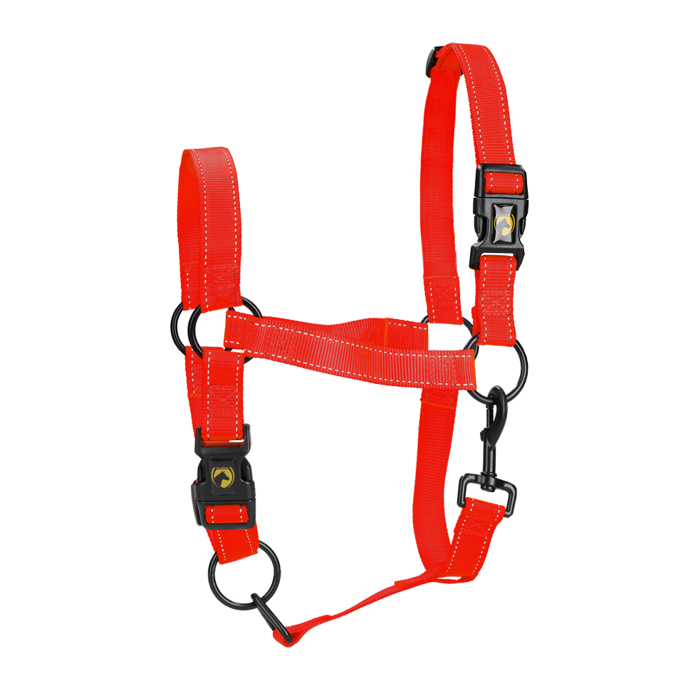 Halster van Nylon met Reflecterende Details, Rood M – Excellent Premium Căpăstru din nylon cu detalii reflectorizante, roșu M – Excellent Premium