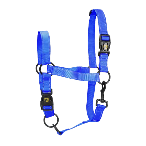 Căpăstru din nylon cu detalii reflectorizante, albastru L – Excellent Premium