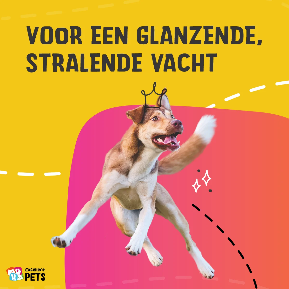 Ulei pentru îngrijirea pielii câinilor, cu ulei din semințe de cânepă, 10 ml – Excellent Pets HempOne Oil - imagine 4