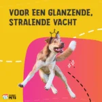 Ulei pentru îngrijirea pielii câinilor, cu ulei din semințe de cânepă, 20 ml – Excellent Pets HempOne Oil - imagine 4