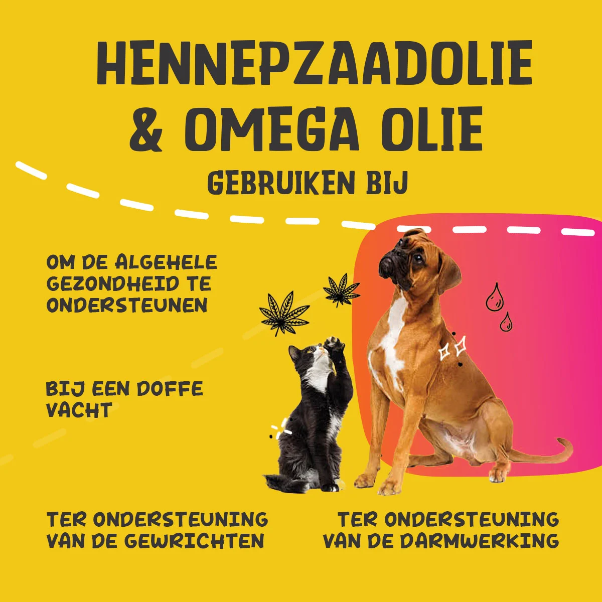 Amestec de uleiuri pentru câini și pisici, cu ulei din semințe de cânepă, 100 ml – Excellent Pets HempOne + Omega Oil - imagine 2