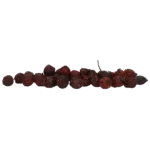 Măceșe pentru cai, pentru menținerea sănătății copitelor, 1 kg – Excellent Horse Herbs Măceșe - imagine 2