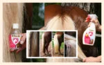 Spray pentru coamă și coadă, cu efect de descurcare, 500 ml – Excellent Horse Hi Gloss Spray - imagine 2
