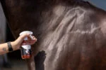 Spray cu sclipici pentru blană, coamă și coadă, 250 ml – Excellent Horse Hi Gloss Glitter Spray Orange - imagine 2