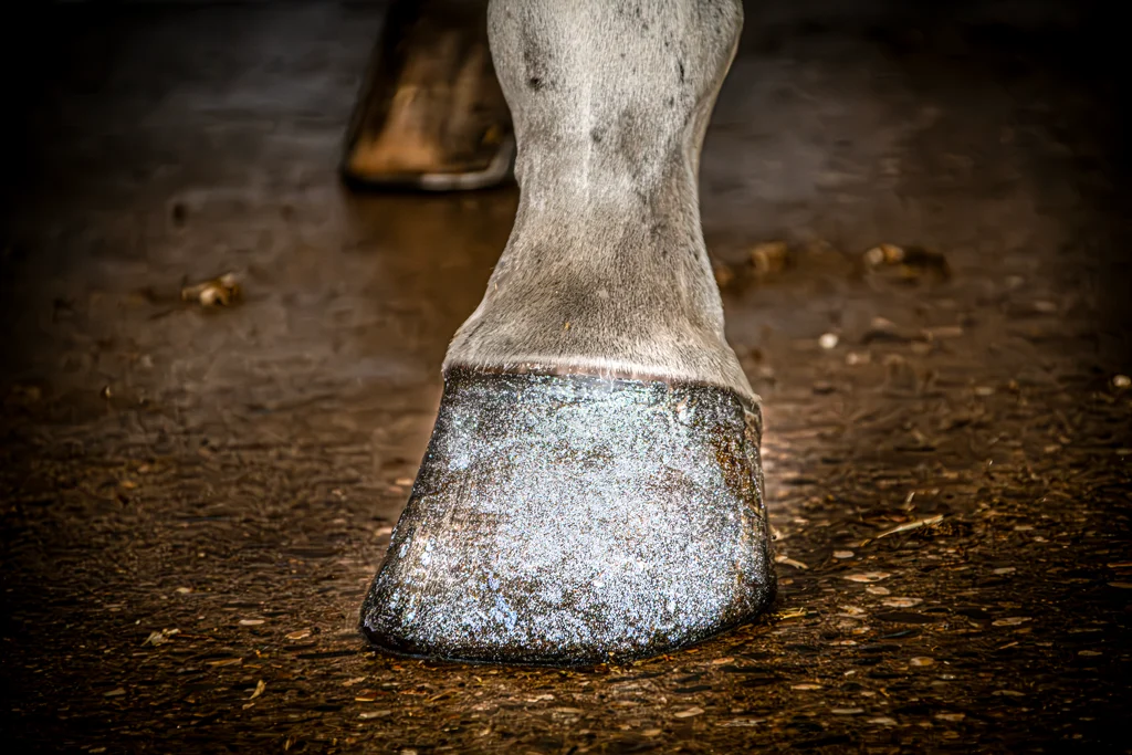 Lac cu sclipici pentru copite, argintiu, 150 ml – Excellent Horse Hi Gloss Glitter Hoof Polish - imagine 2