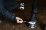 Lac cu sclipici pentru copite, argintiu, 150 ml – Excellent Horse Hi Gloss Glitter Hoof Polish - imagine 3