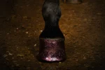 Lac roz cu sclipici pentru copite, 150 ml – Excellent Horse Hi Gloss Glitter Hoof Polish - imagine 2