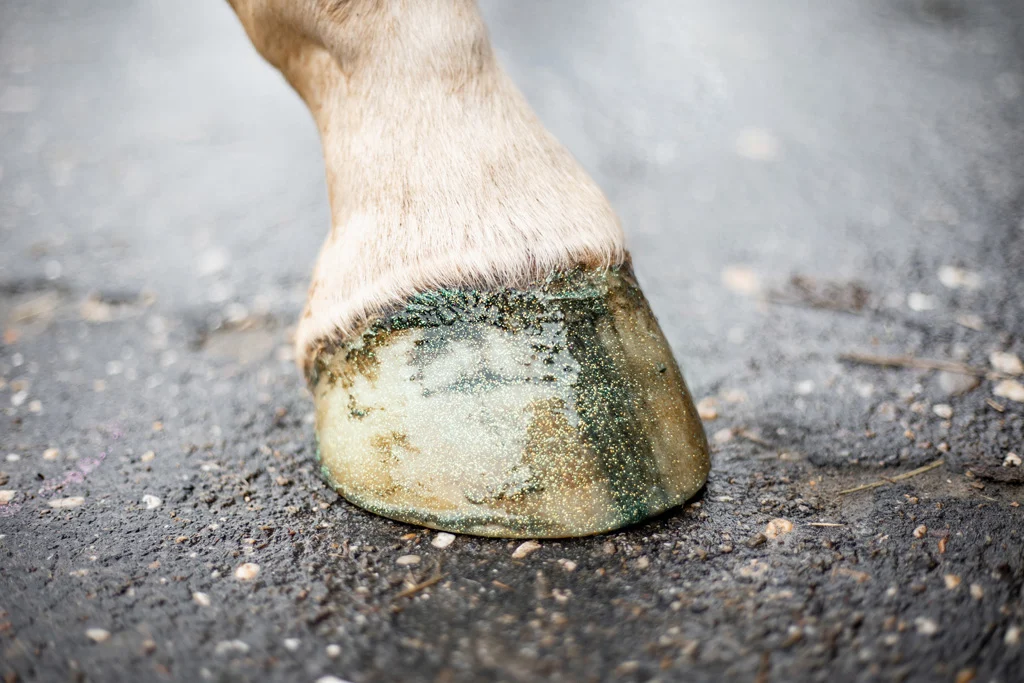 Lac cu sclipici verde pentru copite, 150 ml – Excellent Horse Hi Gloss Glitter Hoof Polish - imagine 3