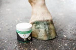 Lac cu sclipici verde pentru copite, 150 ml – Excellent Horse Hi Gloss Glitter Hoof Polish - imagine 4