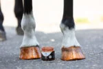 Lac cu sclipici pentru copite, portocaliu, 150 ml – Excellent Horse Hi Gloss Glitter Hoof Polish - imagine 3
