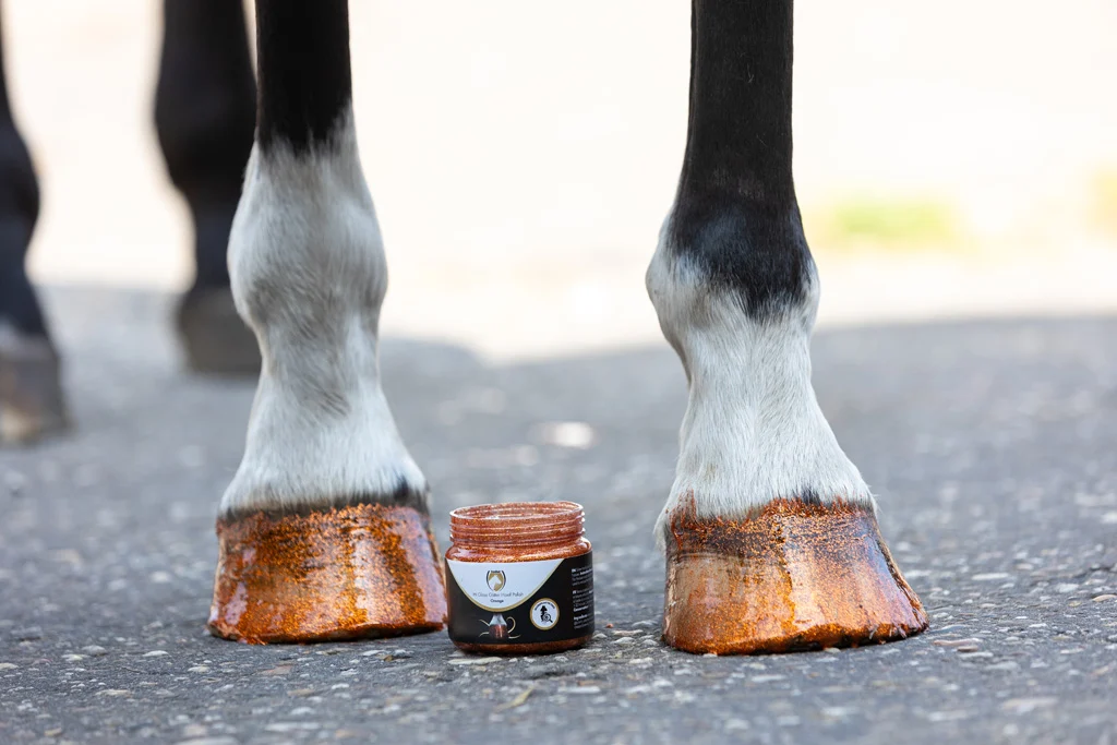 Lac cu sclipici pentru copite, portocaliu, 150 ml – Excellent Horse Hi Gloss Glitter Hoof Polish - imagine 3