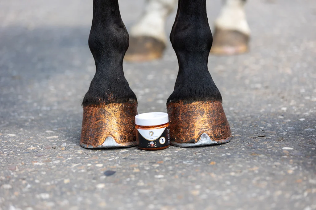 Lac cu sclipici pentru copite, portocaliu, 150 ml – Excellent Horse Hi Gloss Glitter Hoof Polish - imagine 2