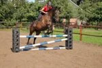 Bloc pentru obstacole de antrenament la sărituri, 41,5 x 30 x 30 cm – Excellent Horse Cube - imagine 3