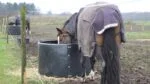 Inel pentru fân destinat cailor la pășune, ø 124–128 cm – Ok-Plast Hooi Ring Feeder