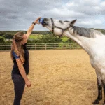 Piatră de lins pentru cai, ca recompensă, 650 g – Horslyx Mini Original - imagine 3