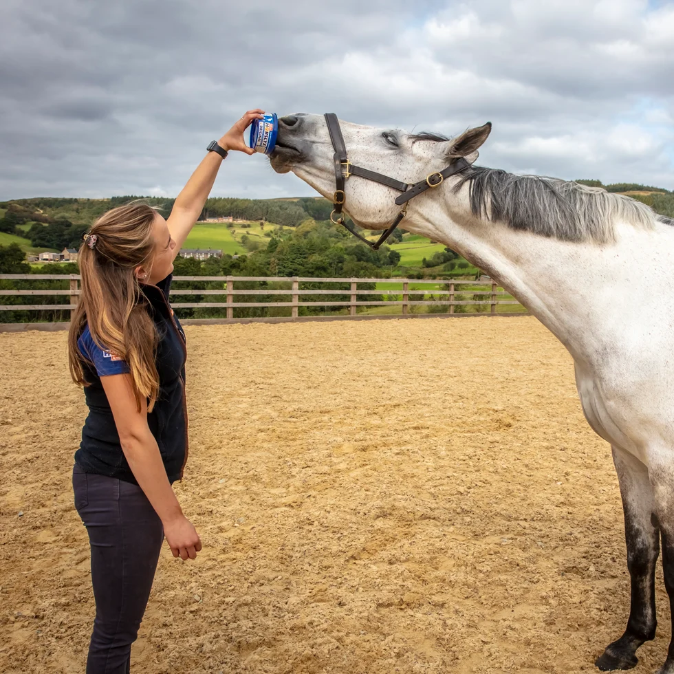 Piatră de lins pentru cai, ca recompensă, 650 g – Horslyx Mini Original - imagine 3