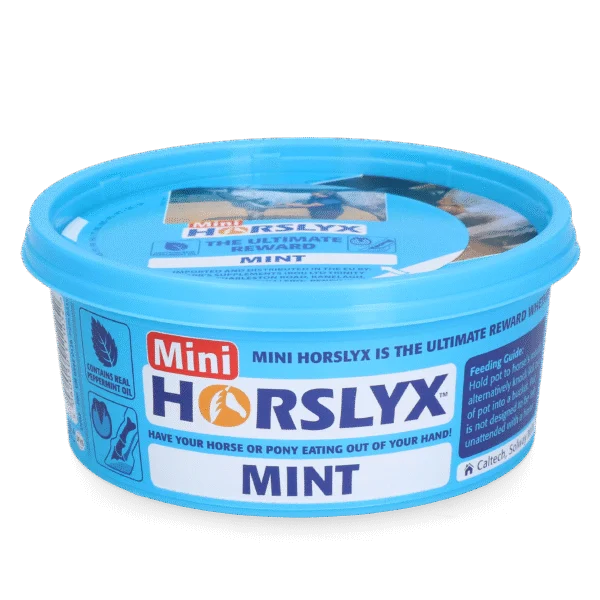 Piatră de lins pentru cai, ca recompensă, 650 g – Horslyx Mini Mint