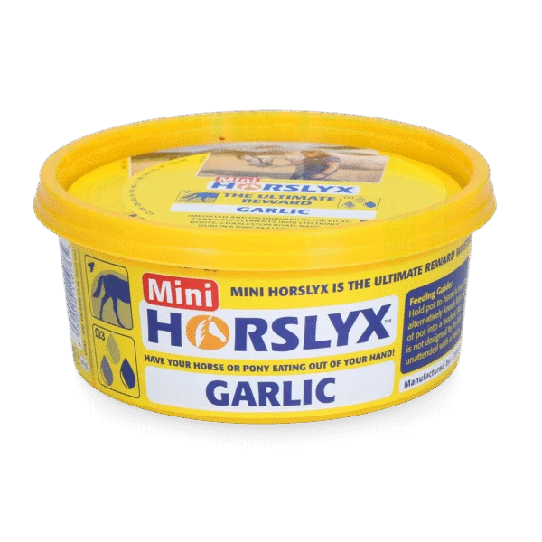Bloc de lins pentru cai, ca recompensă, 650 g – Horslyx Mini Knoflook