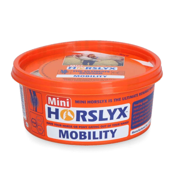 Bloc de lins pentru cai, ca recompensă, 650 g – Horslyx Mini Mobilitate