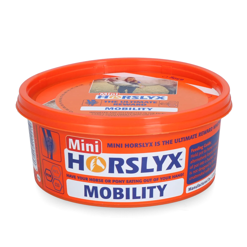 Bloc de lins pentru cai, ca recompensă, 650 g – Horslyx Mini Mobilitate - imagine 1