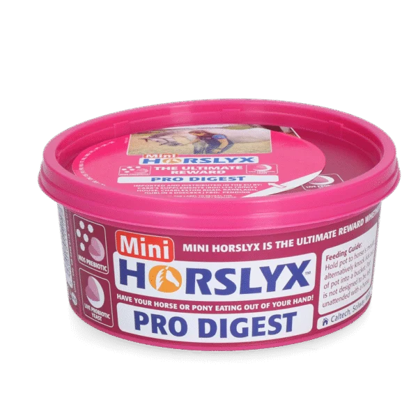 Lingură de lins pentru cai, ca recompensă, 650 g – Horslyx Mini Spijsvertering
