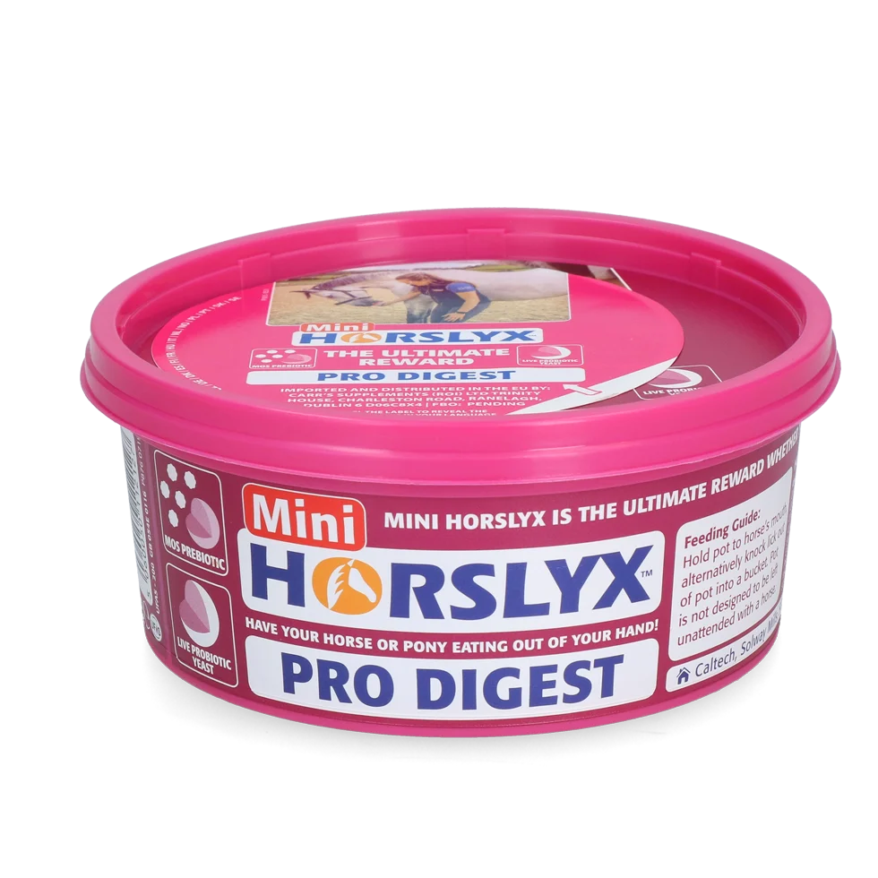 Lingură de lins pentru cai, ca recompensă, 650 g – Horslyx Mini Spijsvertering - imagine 1