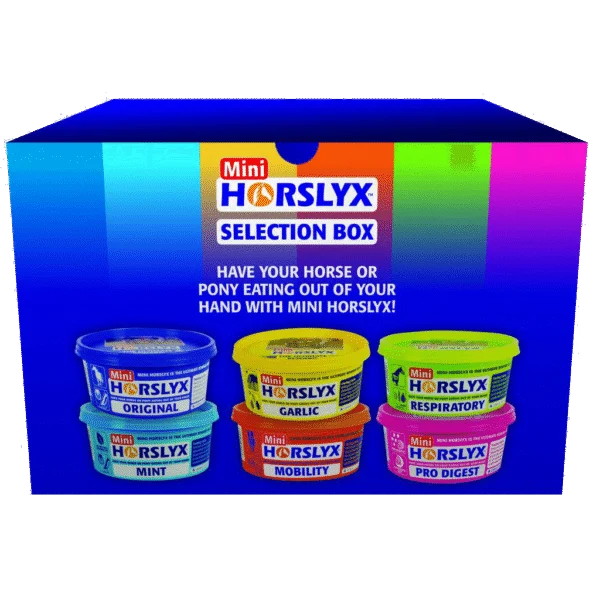 Blocuri de lins pentru cai, ca recompensă, 6 x 650 g – Horslyx Mini Selection Box