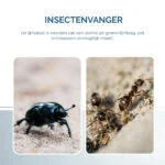 Placă adezivă pentru insecte tip carte, neagră, 22 x 17 cm – Hofman Pest Control - imagine 5