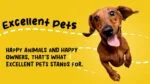 Recompense masticabile pentru articulațiile câinilor, 120 de bucăți – Excellent Pets Dog Mobility Soft Chews - imagine 3