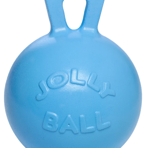 Minge de joacă pentru cai, albastră, cu miros de afine, 25 cm – Jolly Pets Jolly Ball