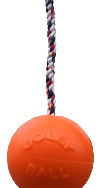 Minge pentru câini cu frânghie, plutitoare, vanilie L (20 cm) – Jolly Pets Romp-n-Roll