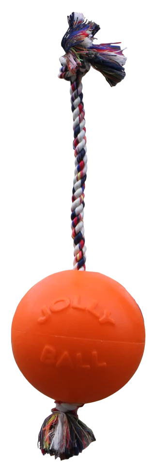 Minge pentru câini cu frânghie, plutitoare, vanilie L (20 cm) – Jolly Pets Romp-n-Roll - imagine 1