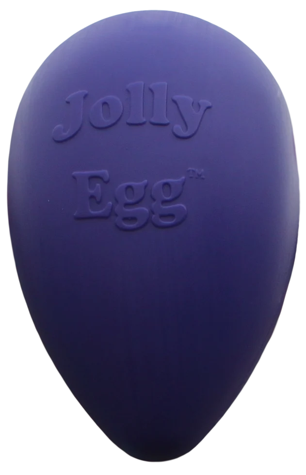 Ou de joacă pentru câini, din plastic, mov, 20 cm – Jolly Pets Egg - imagine 1