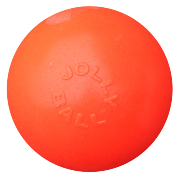 Minge săltăreață pentru câini, vanilie, 10 cm – Jolly Pets Bounce-n Play