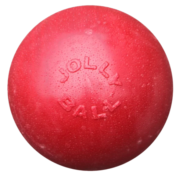 Minge săltăreață pentru câini, plutitoare, roșie, M, 15 cm – Jolly Pets Bounce-n Play